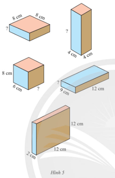 Bài 6 trang 67 Toán 7 Tập 1 Chân trời sáng tạo
