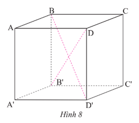 Thực hành 3 trang 49 Toán 7 Tập 1 Chân trời sáng tạo
