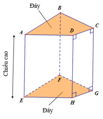 Lý thuyết Toán 7 Chân trời sáng tạo Bài 3: Hình lăng trụ đứng tam giác - Hình lăng trụ đứng tứ giác (ảnh 2)