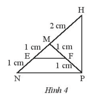 Tìm các tam giác cân trong Hình 4. Kể tên các cạnh bên, cạnh đáy, góc ở đỉnh
