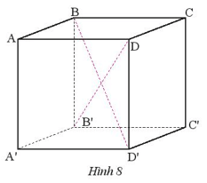 Quan sát hình lập phương ABCD.A’B’C’D’ có AB = 5 cm (Hình 8)