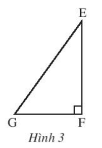 Trong Hình 3, hãy vẽ các đường phân giác GM, EN và FP của tam giác EFG