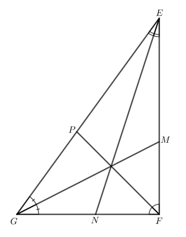 Trong Hình 3, hãy vẽ các đường phân giác GM, EN và FP của tam giác EFG