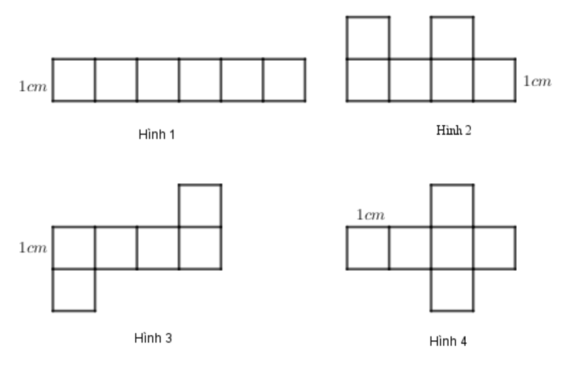 15 Bài tập Hình hộp chữ nhật - Hình lập phương (có đáp án) | Chân trời sáng tạo Trắc nghiệm Toán 7