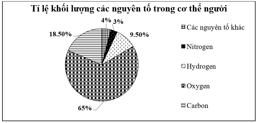 15 Bài tập Biểu đồ hình quạt tròn (có đáp án) | Chân trời sáng tạo Trắc nghiệm Toán 7