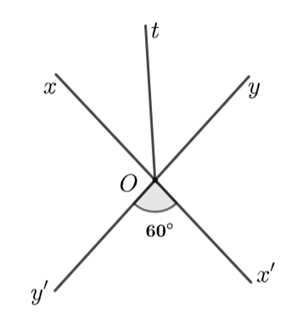 15 Bài tập Tia phân giác (có đáp án) | Chân trời sáng tạo Trắc nghiệm Toán 7