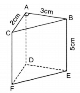 15 Bài tập Diện tích xung quanh và thể tích hình lăng trụ đứng tam giác, hình lăng trụ đứng tứ giác (có đáp án) | Chân trời sáng tạo Trắc nghiệm Toán 7