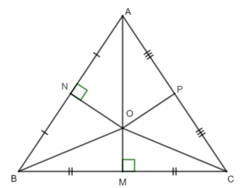 15 Bài tập Tính chất ba đường trung trực của tam giác (có đáp án) | Chân trời sáng tạo Trắc nghiệm Toán 7 (ảnh 12)