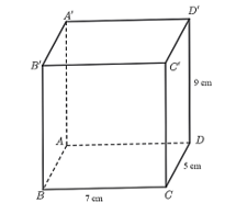 30 Bài tập tổng hợp Toán 7 Chương 3 Chân trời sáng tạo có đáp án