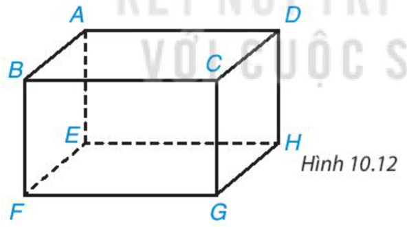 Gọi tên các đỉnh, cạnh, đường chéo, mặt của hình hộp chữ nhật trong Hình 10.12