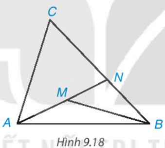 Cho điểm M nằm bên trong tam giác ABC. Gọi N là giao điểm của đường thẳng AM và cạnh BC (H.9.18)