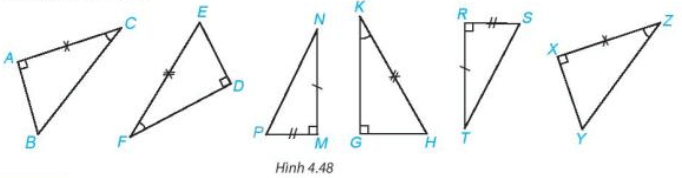 Trong Hình 4.48, hãy tìm các cặp tam giác vuông bằng nhau và giải thích
