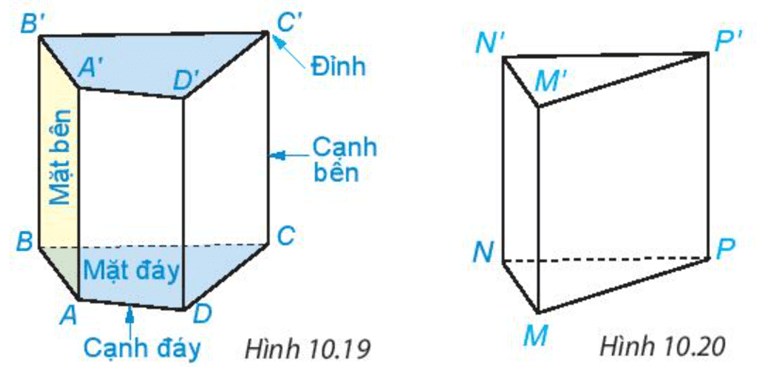 Một số yếu tố của hình lăng trụ đứng tứ giác được chỉ rõ trong Hình 10.19
