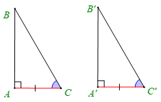 Lý thuyết Toán 7 Kết nối tri thức Bài 15: Các trường hợp bằng nhau của tam giác vuông (ảnh 2)