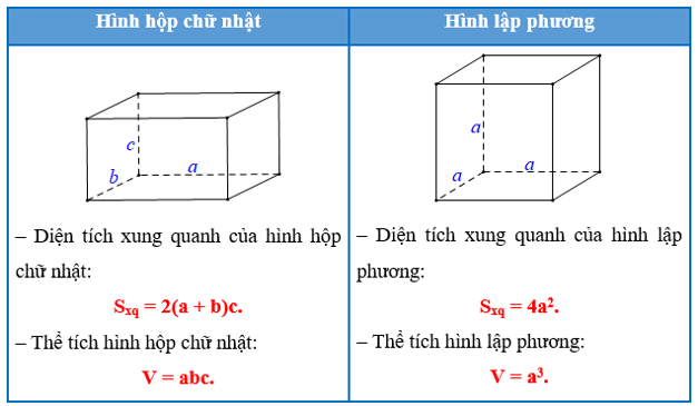 Lý thuyết Toán 7 Kết nối tri thức Bài 36: Hình hộp chữ nhật và hình lập phương (ảnh 6)