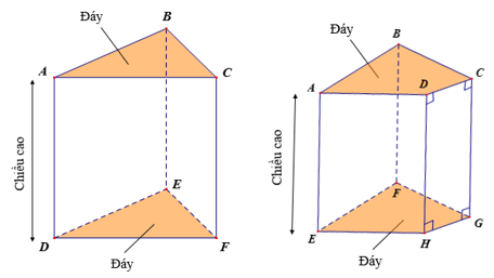 Lý thuyết Toán 7 Kết nối tri thức Bài 37: Hình lăng trụ đứng tam giác và hình lăng trụ đứng tứ giác (ảnh 1)