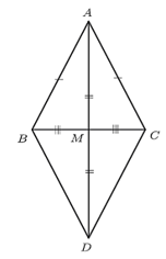 15 Bài tập Trường hợp bằng nhau thứ hai và thứ ba của tam giác (có đáp án) | Kết nối tri thức Trắc nghiệm Toán 7