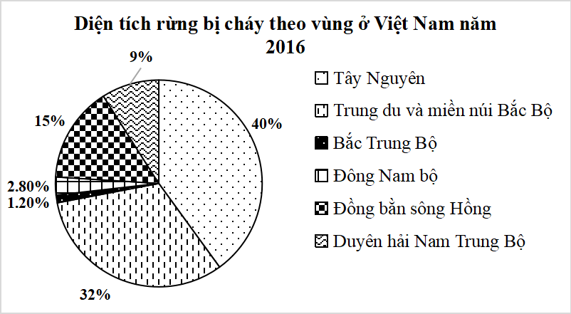 15 Bài tập Biểu đồ hình quạt tròn (có đáp án) | Kết nối tri thức Trắc nghiệm Toán 7