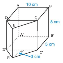 15 Bài tập Hình lăng trụ đứng tam giác và hình lăng trụ đứng tứ giác (có đáp án) | Kết nối tri thức Trắc nghiệm Toán 7