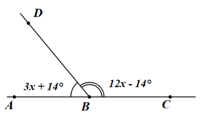 15 Bài tập Góc ở vị trí đặc biệt. Tia phân giác của một góc (có đáp án) | Kết nối tri thức Trắc nghiệm Toán 7
