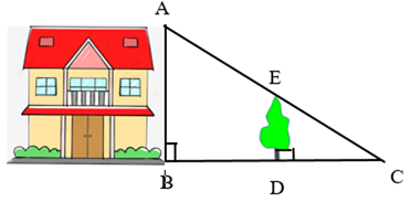 Ứng dụng của định lí Thalès trong tam giác lớp 8 (Lý thuyết Toán 8 Cánh diều)
