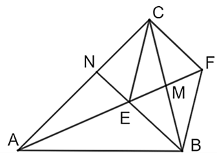 13 Bài tập Định lí Thalès trong tam giác (có đáp án) | Cánh diều Trắc nghiệm Toán 8 (ảnh 3)