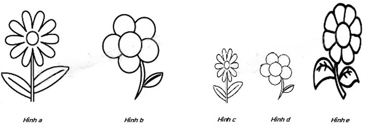 13 Bài tập Hình đồng dạng trong thực tiễn (có đáp án) | Cánh diều Trắc nghiệm Toán 8 (ảnh 17)