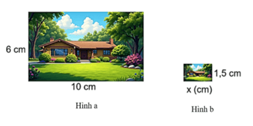 13 Bài tập Hình đồng dạng trong thực tiễn (có đáp án) | Cánh diều Trắc nghiệm Toán 8 (ảnh 3)