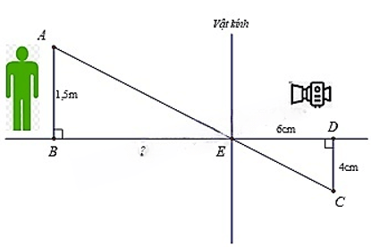 13 Bài tập Ứng dụng của định lí Thalès trong tam giác (có đáp án) | Cánh diều Trắc nghiệm Toán 8 (ảnh 2)