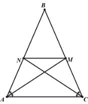 13 Bài tập Tính chất đường phân giác của tam giác (có đáp án) | Cánh diều Trắc nghiệm Toán 8
