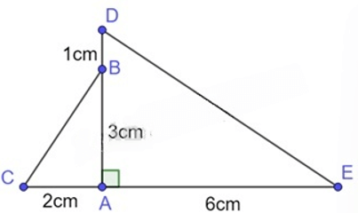 13 Bài tập Trường hợp đồng dạng thứ hai của tam giác (có đáp án) | Cánh diều Trắc nghiệm Toán 8 (ảnh 6)
