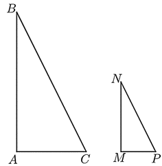 13 Bài tập Trường hợp đồng dạng thứ hai của tam giác (có đáp án) | Cánh diều Trắc nghiệm Toán 8 (ảnh 3)