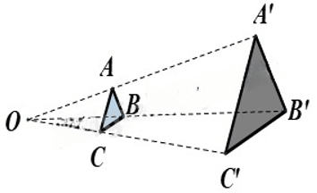 13 Bài tập Hình đồng dạng (có đáp án) | Cánh diều Trắc nghiệm Toán 8 (ảnh 1)