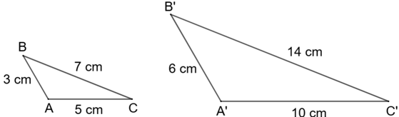 Các trường hợp đồng dạng của hai tam giác lớp 8 (Lý thuyết Toán 8 Chân trời sáng tạo) 