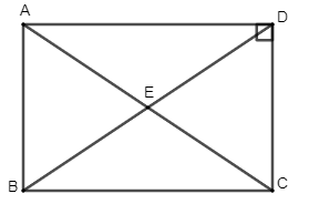 Hình chữ nhật – Hình vuông (Lý thuyết Toán lớp 8) | Chân trời sáng tạo