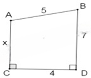 13 Bài tập Định lí Pythagore (có đáp án) | Chân trời sáng tạo Trắc nghiệm Toán 8 (ảnh 5)