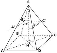 15 Bài tập Diện tích xung quanh và thể tích của hình chóp tam giác đều, hình chóp tứ giác đều (có đáp án) | Chân trời sáng tạo Trắc nghiệm Toán 8