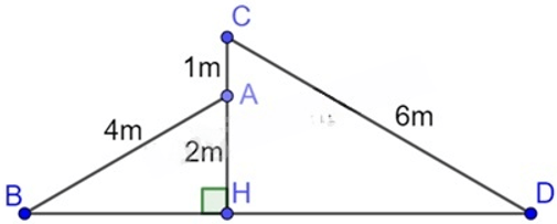 13 Bài tập Các trường hợp đồng dạng của hai tam giác vuông (có đáp án) | Chân trời sáng tạo Trắc nghiệm Toán 8 (ảnh 8)