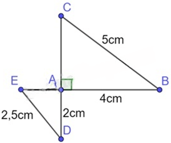 13 Bài tập Các trường hợp đồng dạng của hai tam giác vuông (có đáp án) | Chân trời sáng tạo Trắc nghiệm Toán 8 (ảnh 10)
