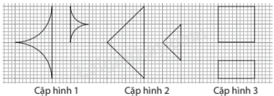 13 Bài tập Hai hình đồng dạng (có đáp án) | Chân trời sáng tạo Trắc nghiệm Toán 8 (ảnh 5)