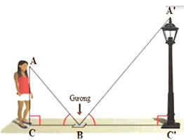 Các trường hợp đồng dạng của hai tam giác vuông lớp 8 (Lý thuyết Toán 8 Kết nối tri thức)