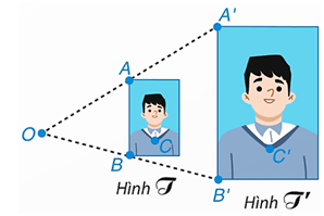 Hình đồng dạng lớp 8 (Lý thuyết Toán 8 Kết nối tri thức)
