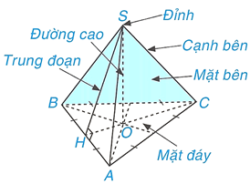 Hình chóp tam giác đều lớp 8 (Lý thuyết Toán 8 Kết nối tri thức)