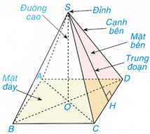 Hình chóp tứ giác đều lớp 8 (Lý thuyết Toán 8 Kết nối tri thức)