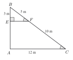 13 Bài tập Định lí Thalès trong tam giác (có đáp án) | Kết nối tri thức Trắc nghiệm Toán 8