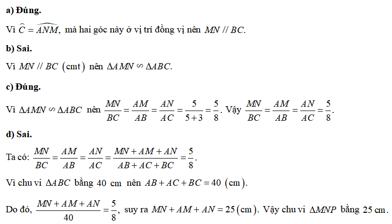 13 Bài tập Hai tam giác đồng dạng (có đáp án) | Kết nối tri thức Trắc nghiệm Toán 8