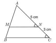 13 Bài tập Hai tam giác đồng dạng (có đáp án) | Kết nối tri thức Trắc nghiệm Toán 8
