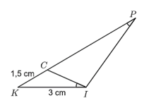 13 Bài tập Ba trường hợp đồng dạng của hai tam giác (có đáp án) | Kết nối tri thức Trắc nghiệm Toán 8