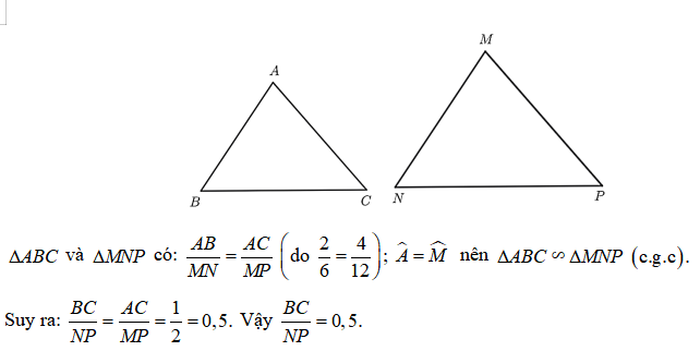 13 Bài tập Ba trường hợp đồng dạng của hai tam giác (có đáp án) | Kết nối tri thức Trắc nghiệm Toán 8