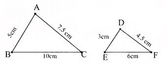 13 Bài tập Ba trường hợp đồng dạng của hai tam giác (có đáp án) | Kết nối tri thức Trắc nghiệm Toán 8